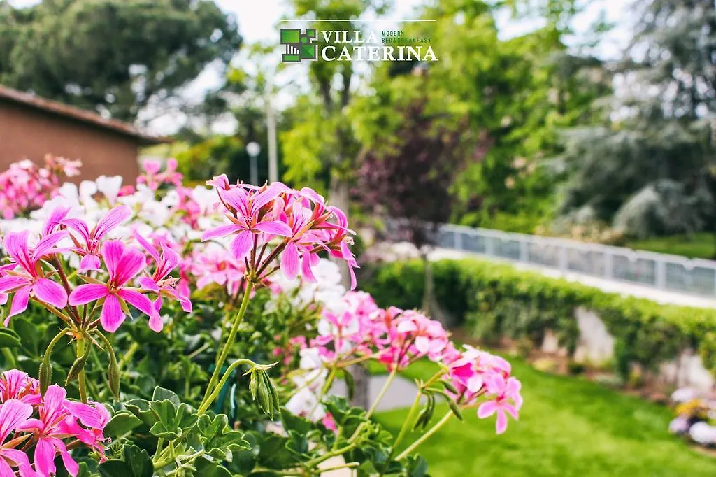 B&B Villa Caterina Pescantina Casa vacanze